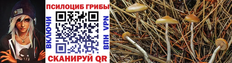 наркотики  Олёкминск  Псилоцибиновые грибы MAGIC MUSHROOMS 